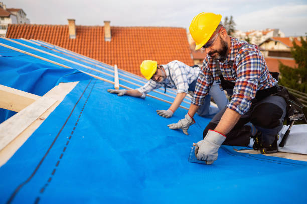 Best Commercial Roofing Services  in Hazel Crest, IL