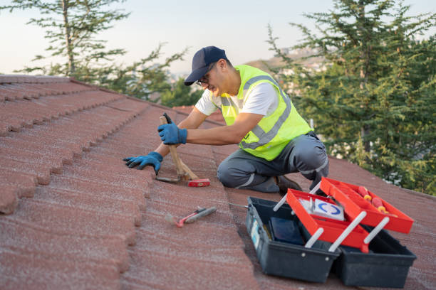 Best Roof Restoration Services  in Hazel Crest, IL