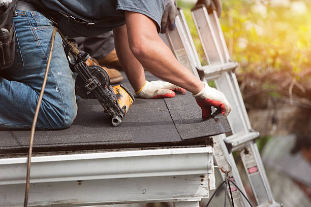 Best Roof Maintenance Services  in Hazel Crest, IL