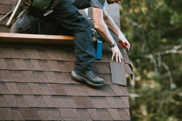 Best Roof Restoration Services  in Hazel Crest, IL