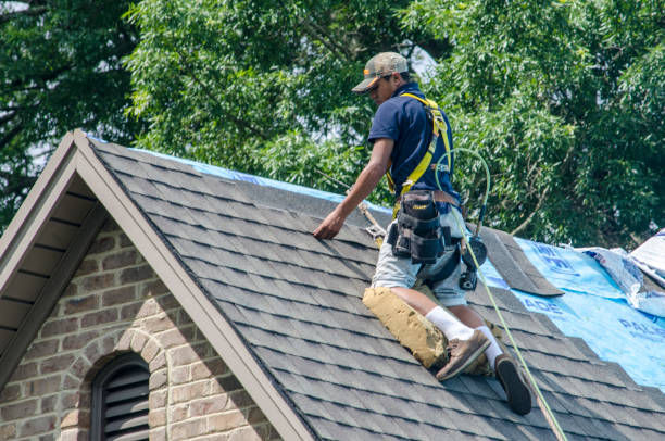 Best Shingle Roofing Installation  in Hazel Crest, IL